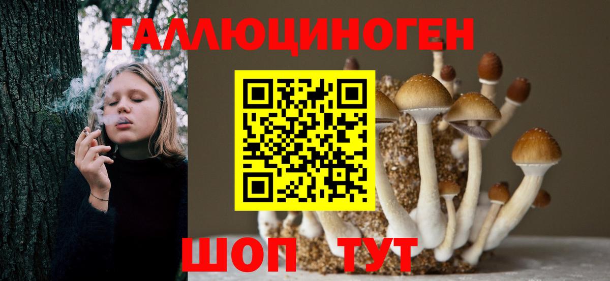 Лесной  Псилоцибиновые грибы MAGIC MUSHROOMS  Вход с VPN 